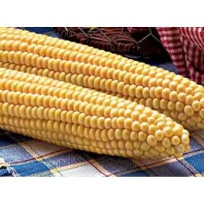 Garrison F1 / Гаррісон F1