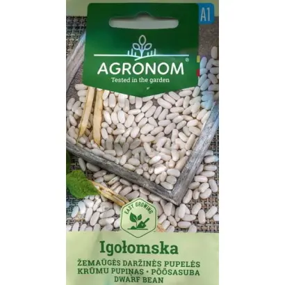 Igolomska / Іголомська