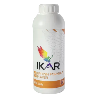ИКАР (IKAR)