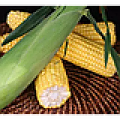 KETAMA / КЕТАМА