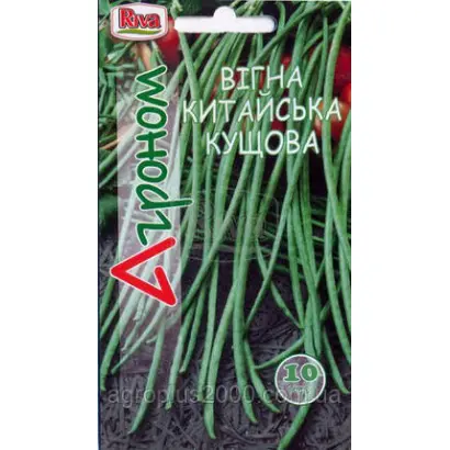 Харьковская 8 / Харківська 8