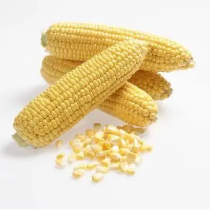 Кліментіна