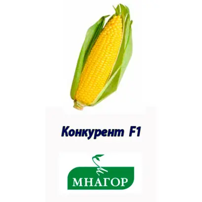 Конкурент