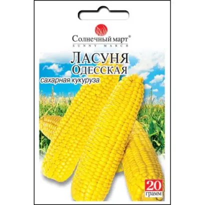 Ласуня одеська