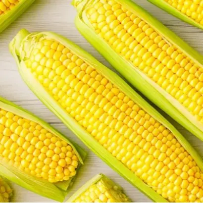 Legend F1 / Леженд F1