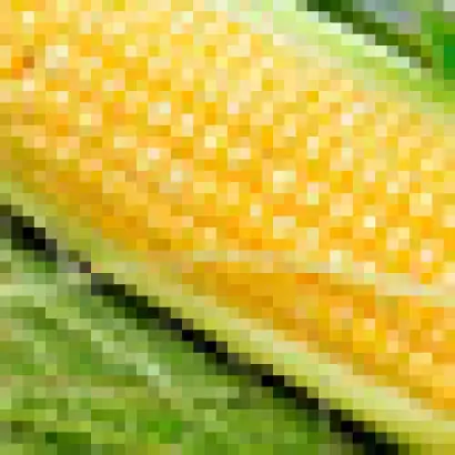 Megaton F1 / Мегатон F1