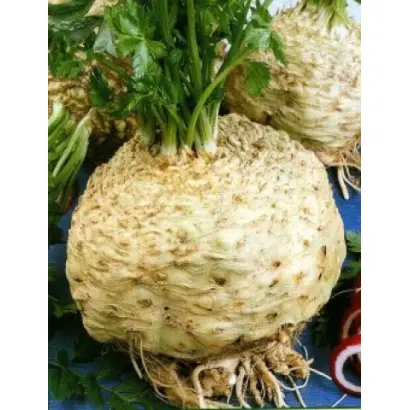 Monarh / Монарх