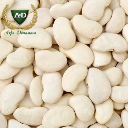 Надия / Надія