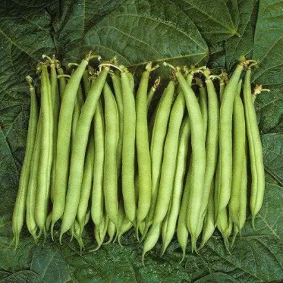 Nagano / Нагано