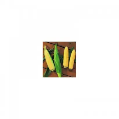 Rustler F1 / Растлер F1