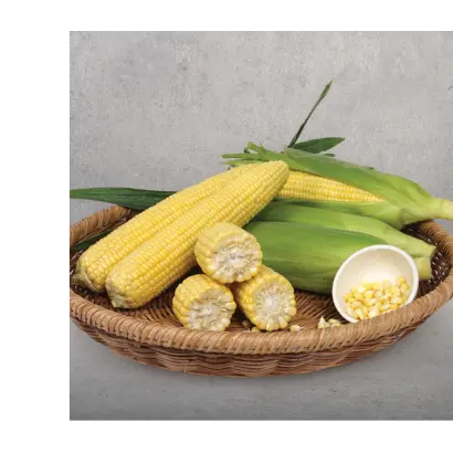 Sherbet / Шербет