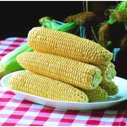 Spirit / Спіріт