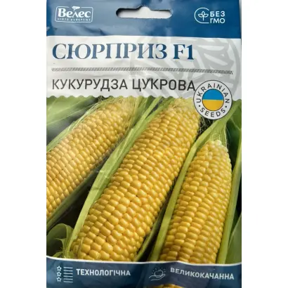 Сюрприз