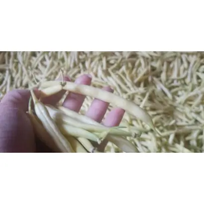 Unidor / Унідор