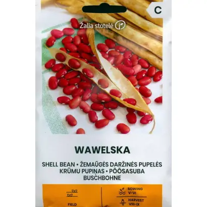 Wawelska / Вавельська