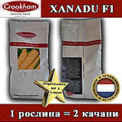 Xanadu / Ксанаду