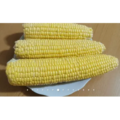 ZEATON / Зеатон