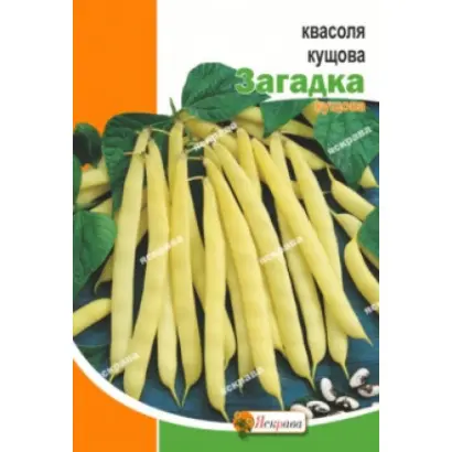 Zagadka / Загадка