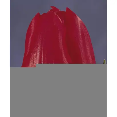 All Seasons / Олл Сезонс