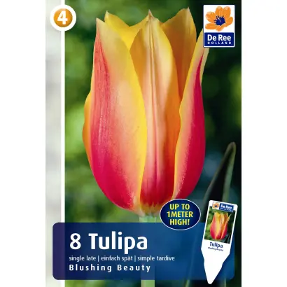 Blushing Beauty / Блушинг Бюти