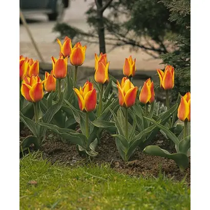 Cape Cod / Кейп Код