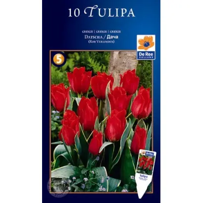 Datscha / Датсча