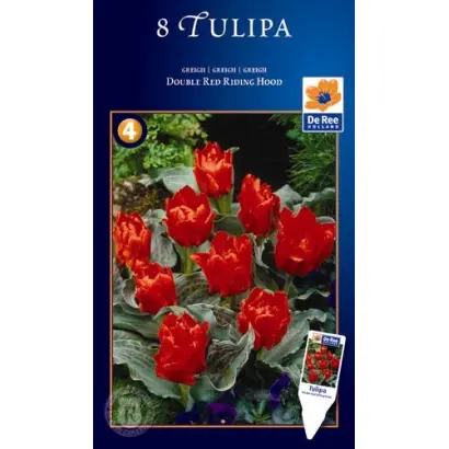 Double Red Ridinghood / Доублэ Рэд Ридингуд