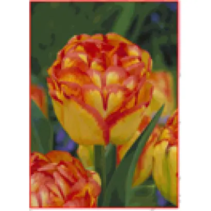 Dreamline / Дрэамлинэ