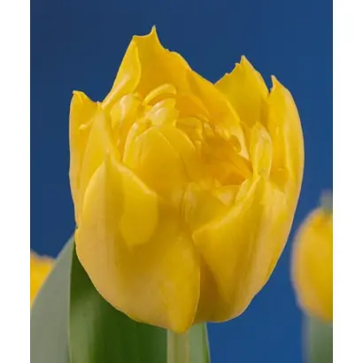 Eskilstuna / Эскилстуна