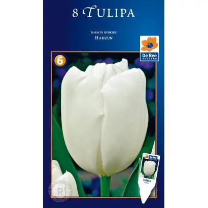 Hakuun / Hакуун