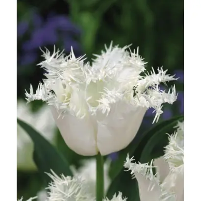 Happy Hour / Hаппь Hоур