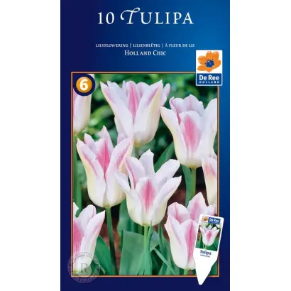 Holland Chic / Hолланд Чиц