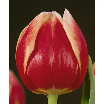 Karlskrona / Карлскрона