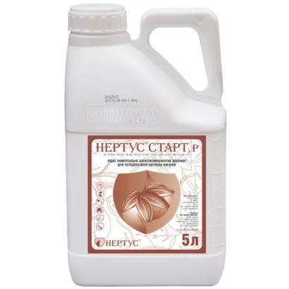 Нертус Старт