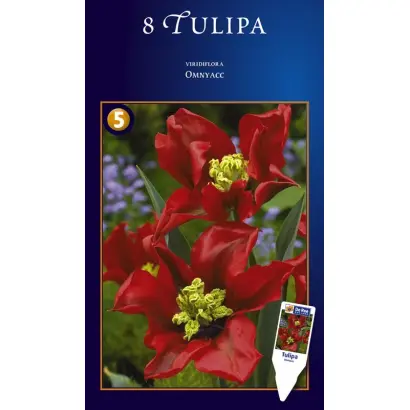 Omnyac / Омньац