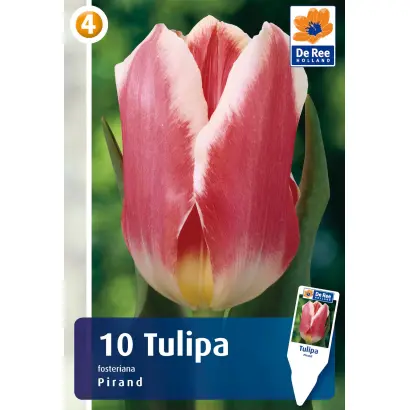 Pirand / Пиранд