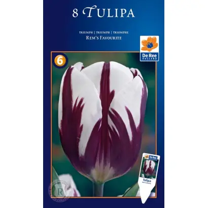 Rem's Favorite / Рэм'с Фаворитэ