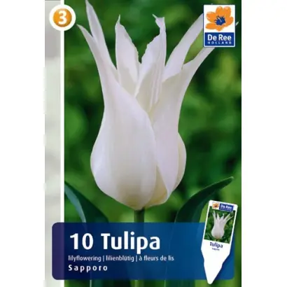 Sapporo / Саппоро