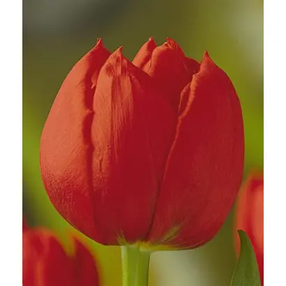 Stockholm / Стоцкhолм