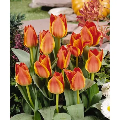 Treasure / Трэасурэ