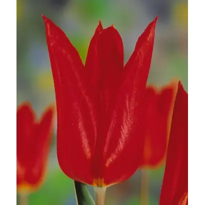 Typhoon / Тьпhоон