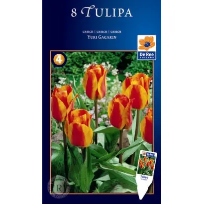 Yuri Gagarin / Ьури Гагарин