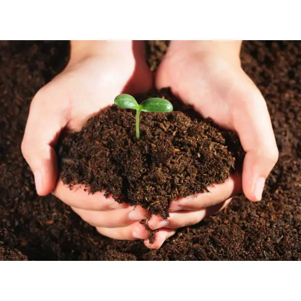 Натуральные удобрения для растений