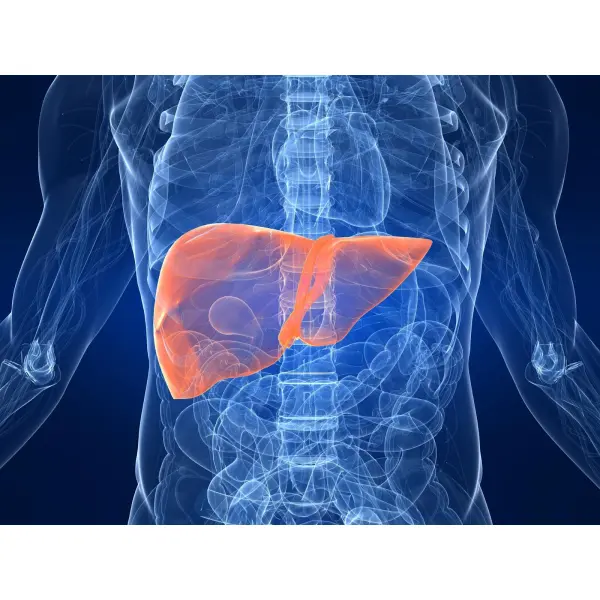 Профилактика и лечение заболеваний печени