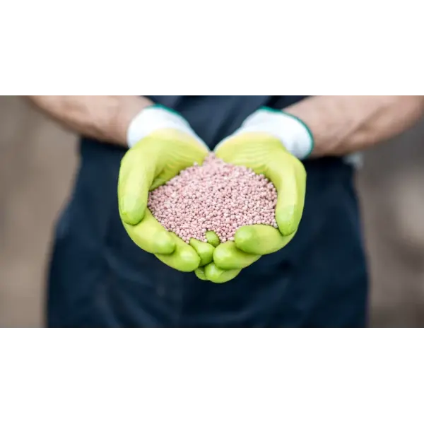 Особливості ринку добрив в Україні 2023