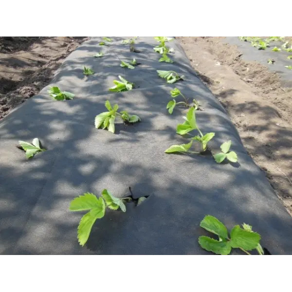 Агроволокно - незамінний інструмент в сільському господарстві: види та застосування