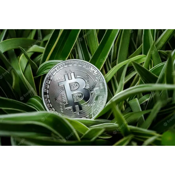 Самые надежные криптовалютные кошельки: примеры лучших площадок