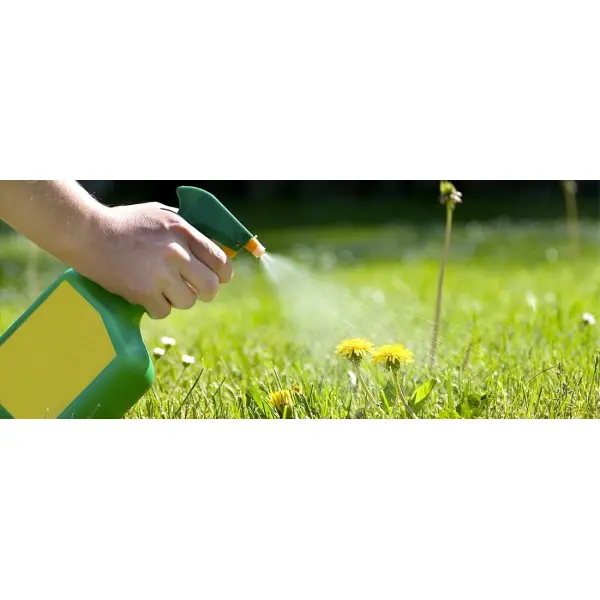 Гербициды: эффективное средство для борьбы с сорняками