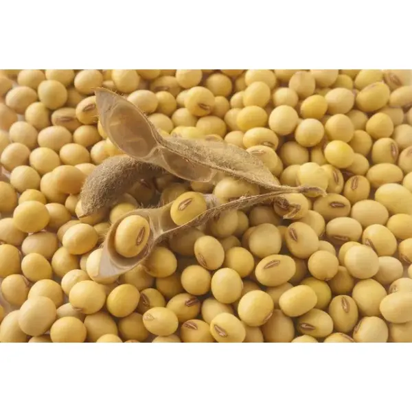 Раундап-стійка соя: перспективи та проблеми