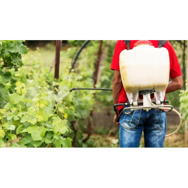 Бордосская смесь: надежная защита вашего сада